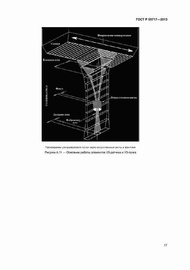   55717-2013.  21