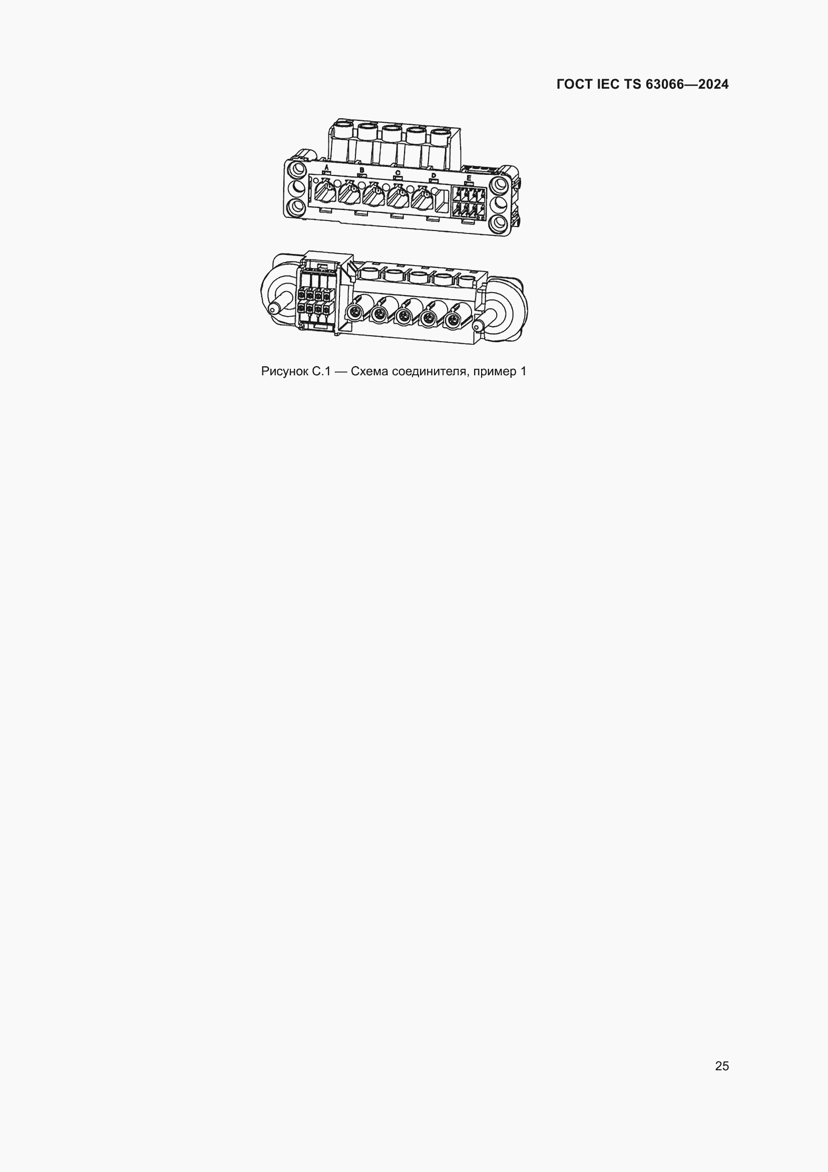 ���� IEC/TS 63066-2024. �������� 31